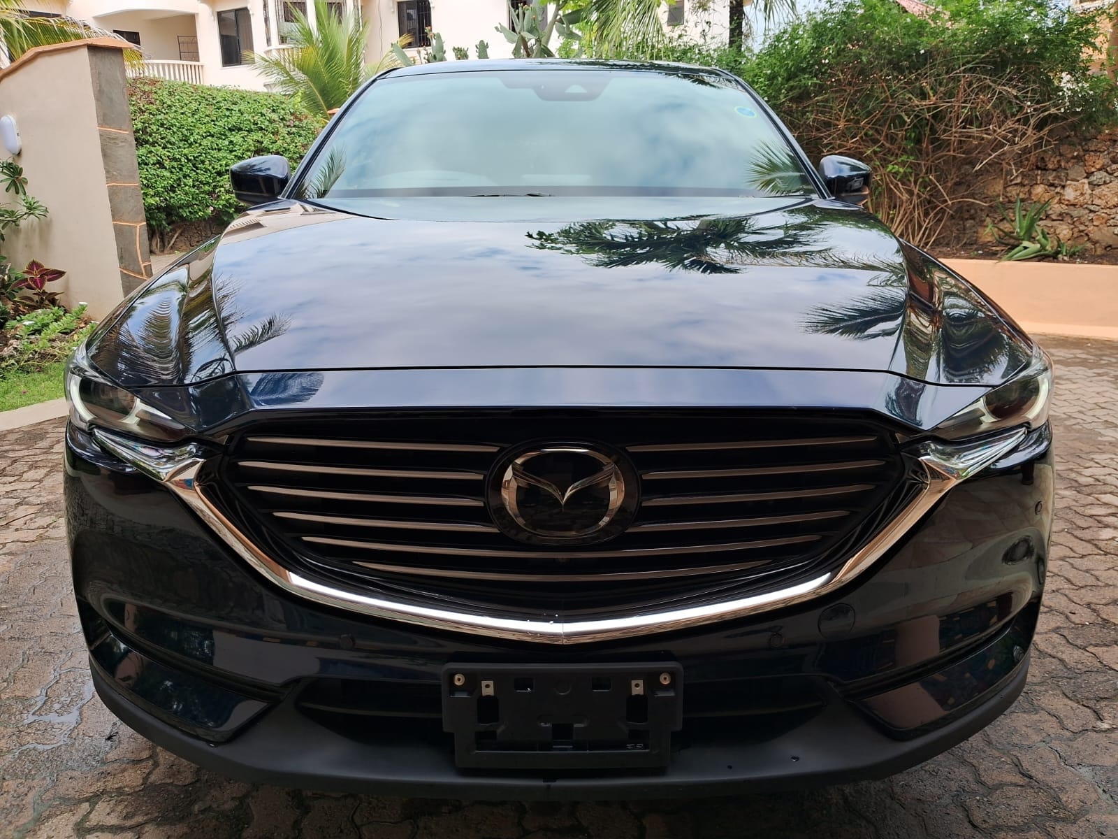 Mazda CX8 - Image 3