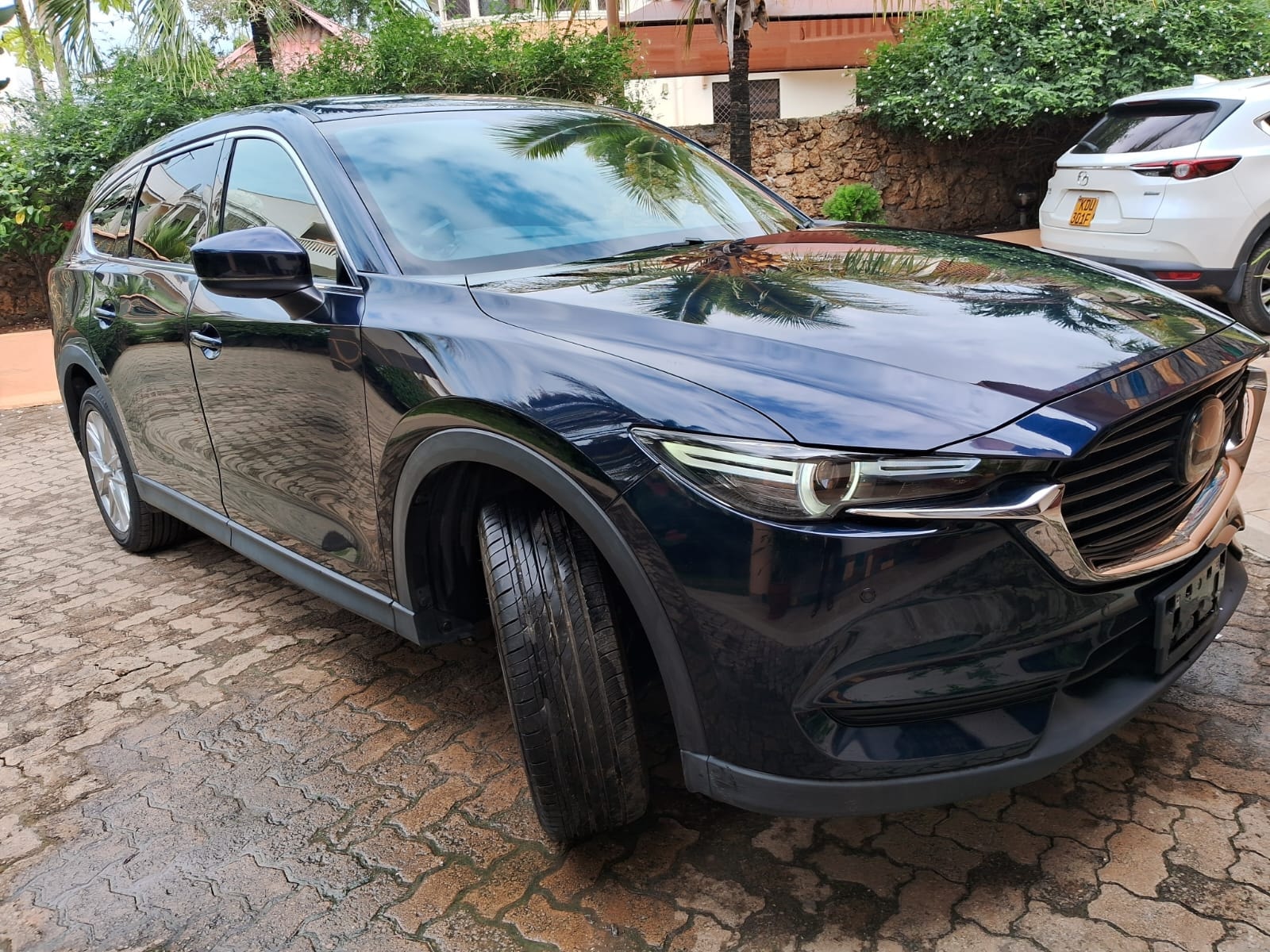 Mazda CX8 - Image 10